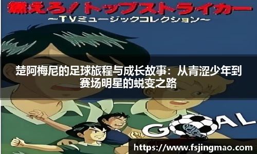 百事2平台注册